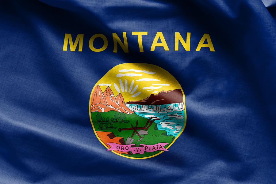 Montana State Flag