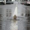 Sewer Backup - St Ann, MO - June 27, 2025