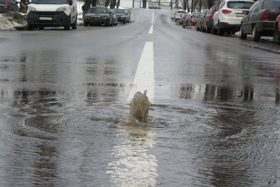 Sewer Backup - St Ann, MO - June 27, 2025