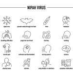 Pakistan Nipah Virus 7 Critical Health Risks Emerge