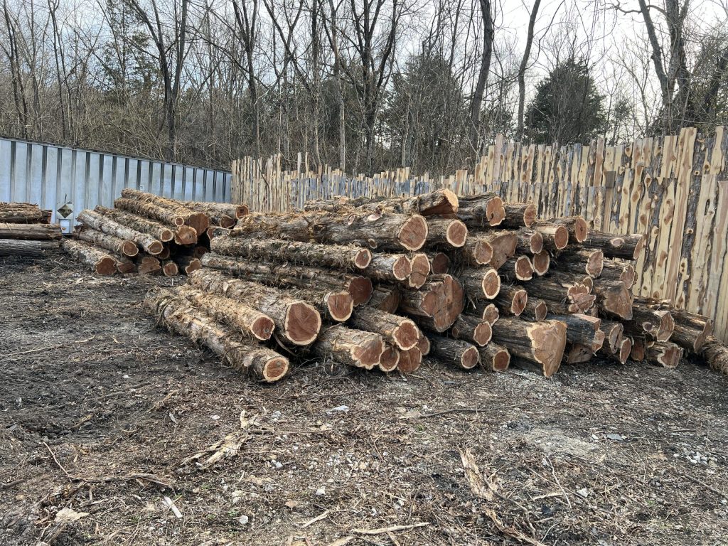 Why Cedar Wood is Among Best Choice for Fences