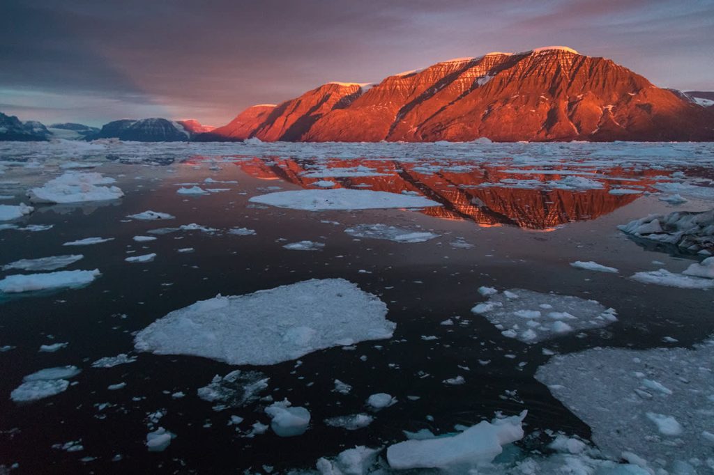 US Foreign Policy Greenland Faces Stark Global Warning 2026