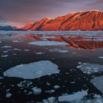 US Foreign Policy Greenland Faces Stark Global Warning 2026