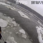 NYPD rescues injured bald eagle stranded on Hudson River ice