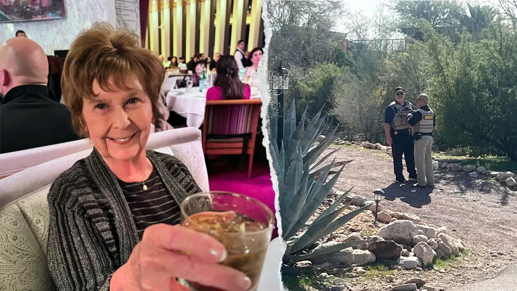 Nancy Guthrie suspected abduction: No person of interest identified