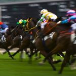 Constitution Hill ruled out of Cheltenham