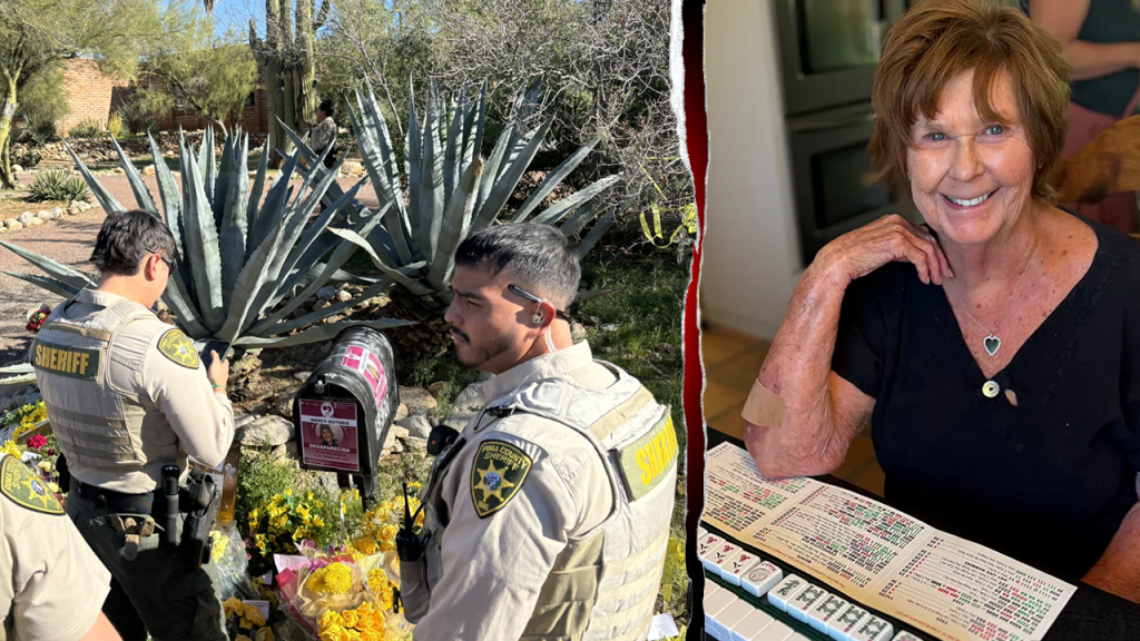 Nancy Guthrie missing 100 days as sheriff says ‘nothing new’ in Tucson case