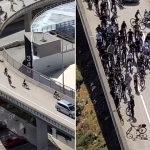 Wrong-way riders as young as 9 stopped in Bay Bridge bicycle takeover