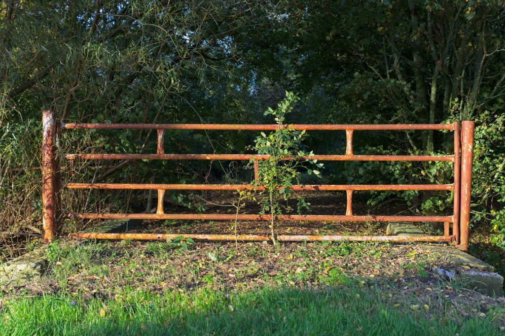 Top Reasons Fence Installation In Lee’s Summit, MO Is Worth Every Penny