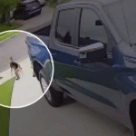 Coyote that attacked 4-year-old boy in Southern California euthanized