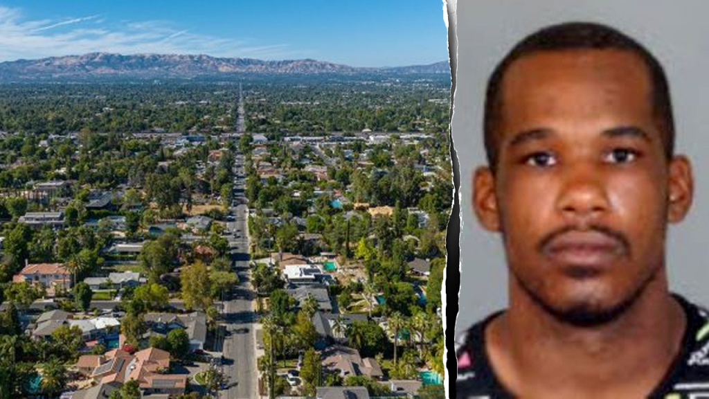 Registered sex offender accused of 6 LA assaults turns himself in