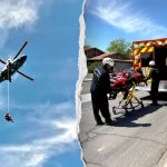 Phoenix hiker stung over 100 times by bees airlifted in critical condition