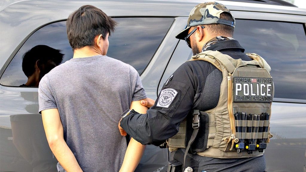Florida Highway Patrol leads Operation 9 netting 249 illegal immigrants