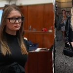 DHS says Anna Delvey has ‘made a mockery’ of US immigration system