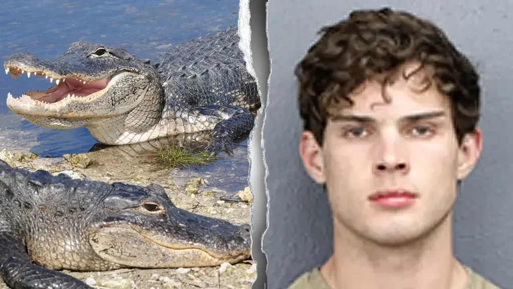 Florida charges influencer Clavicular for alleged Everglades alligator shooting
