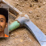 California man sentenced for pickaxe murder of disabled teen brother