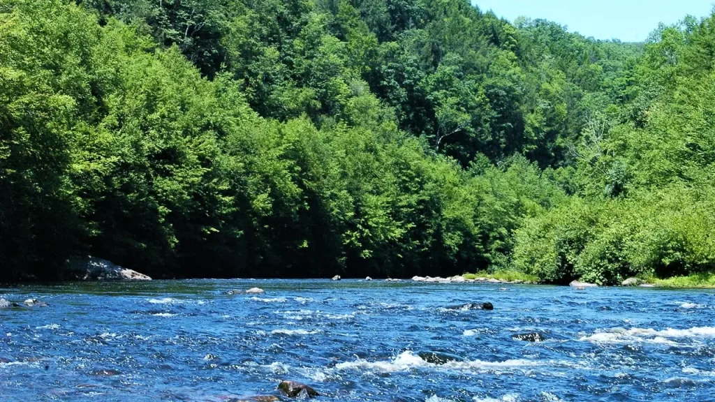12-year-old boy drowns during school rafting trip in Pocono Mountains