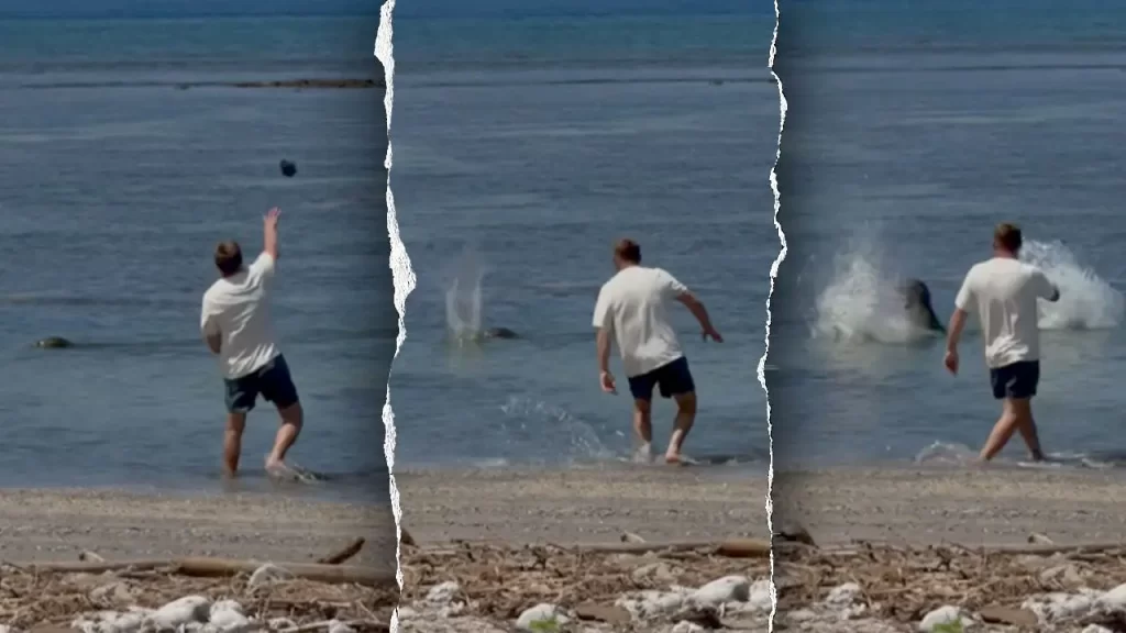 Lawyer for man accused of hitting monk seal says he wanted to help turtles