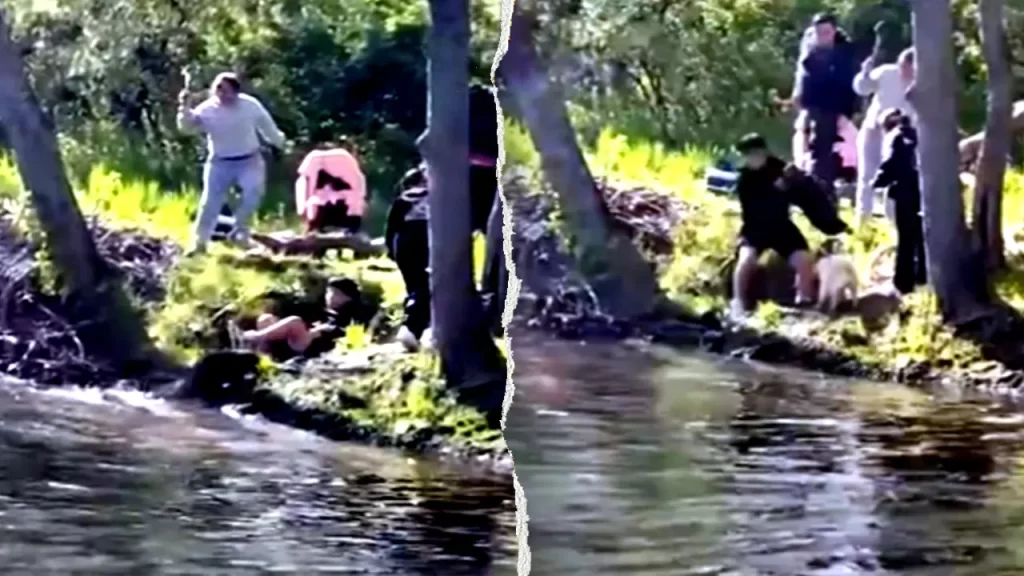 Beaver tests positive for rabies after attacking child at NJ lake