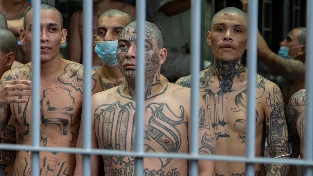 25 alleged Tren de Aragua members arrested in federal crackdown operation