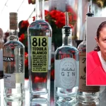 Colorado mother charged with murder after 173 bottles found in room