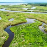 Florida woman dies in fatal alligator attack on Econlockhatchee River