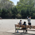 Man dead, another critical after double stabbing at Brooklyn park: NYPD