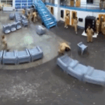 Jail riot caught on camera after inmates complained about phones and time out