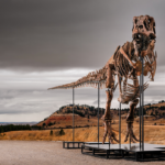 T. rex skeleton Gus sells for a record $50M at Sotheby’s auction