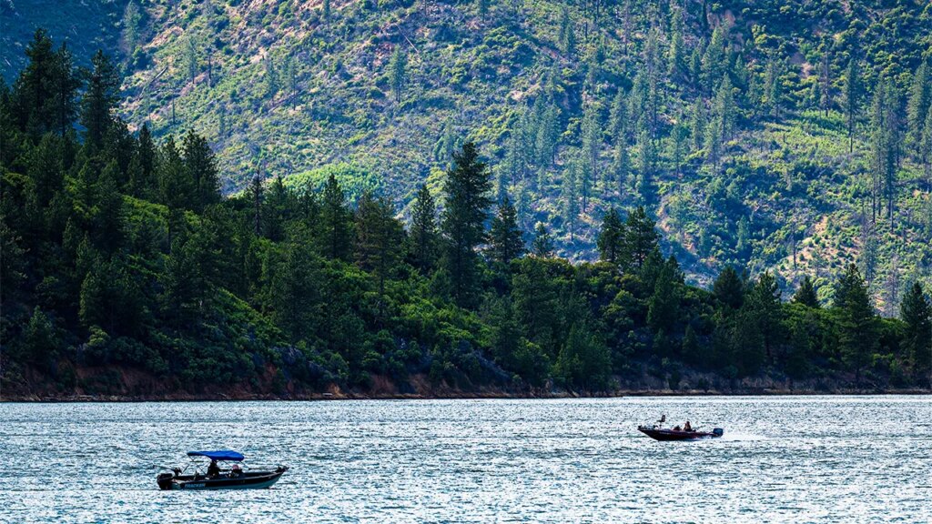 Forest service workers rescued after kidnapping in California national forest
