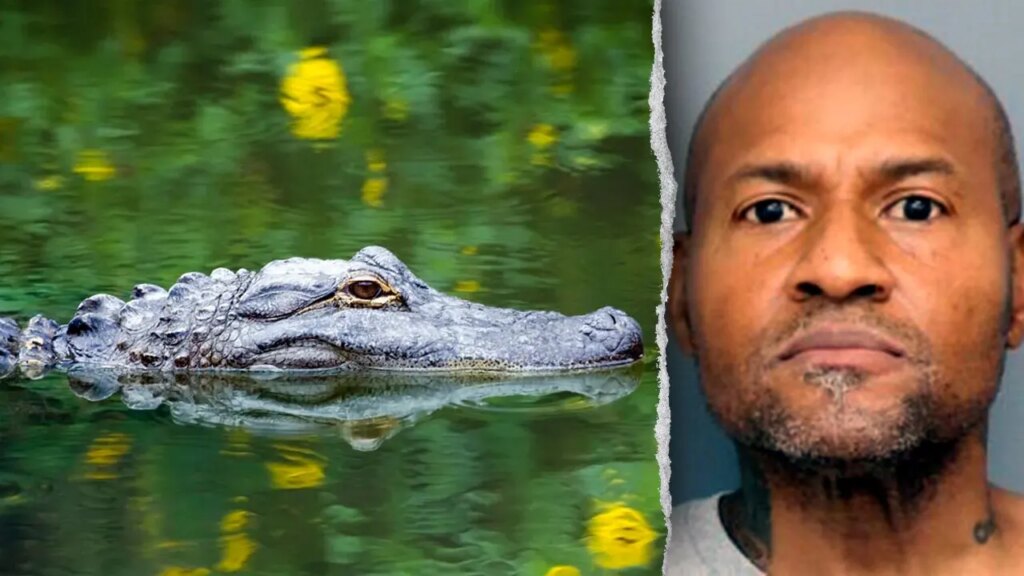 Maryland landlord arrested for assault had guns, alligator and emu on property